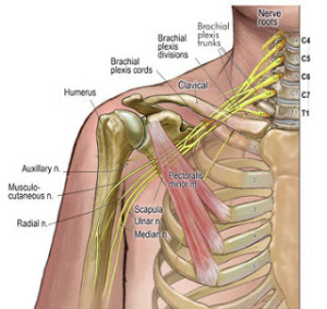 eden-test-costoclavicular-syndrome